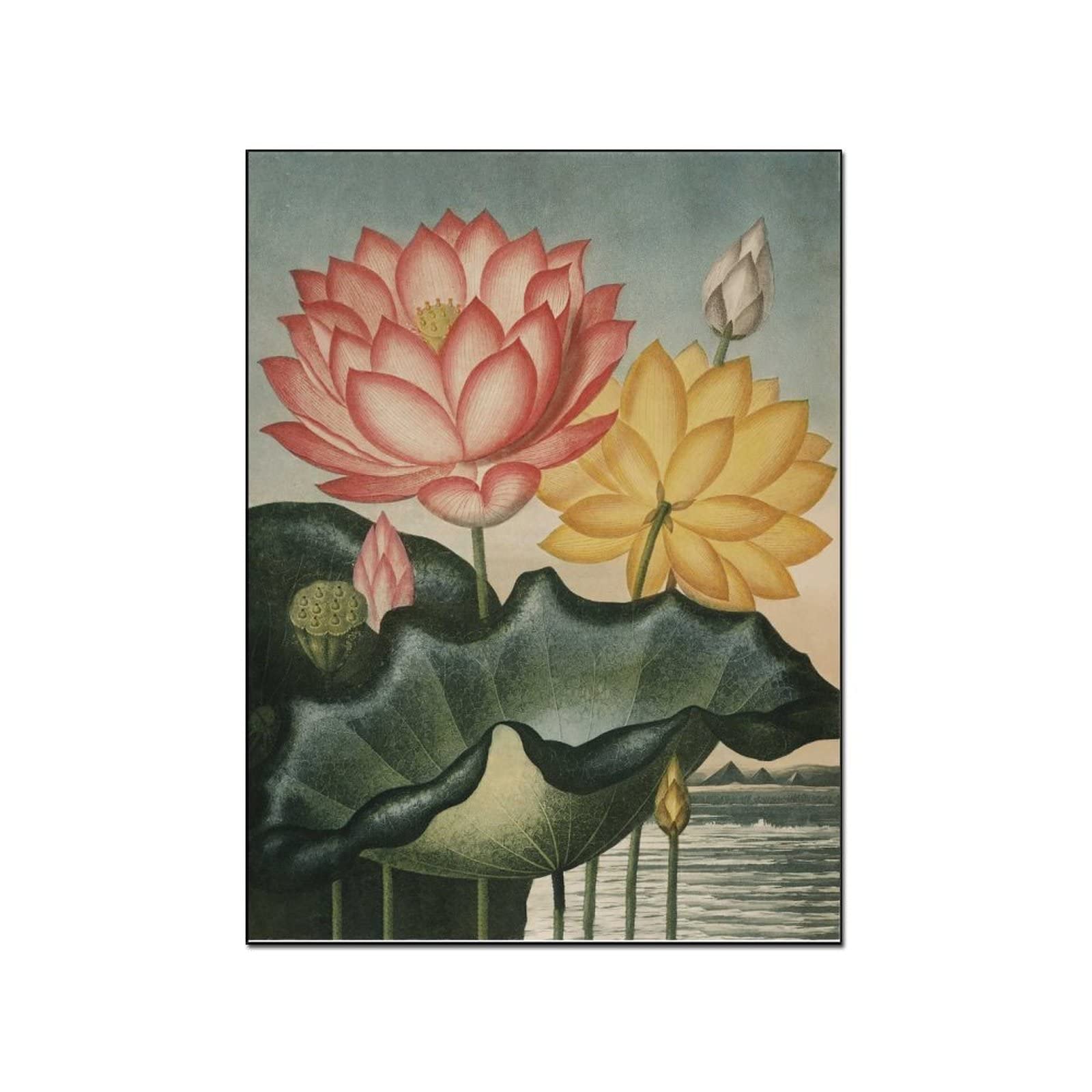 Vintage Floral Plant Posters - 24x32 Inch (60x80cm) Wall Art Prints for Living Room, Bedroom & Office Decor - Perfect for Home Aesthetic & Interior Design