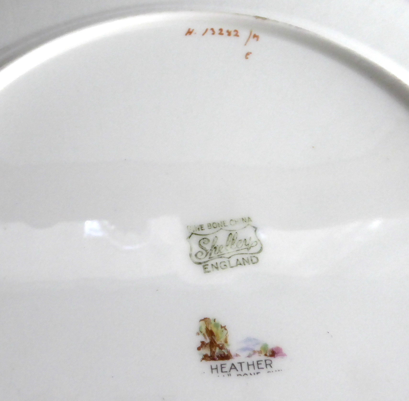 Vintage Shelley Dinner Plate 10.75