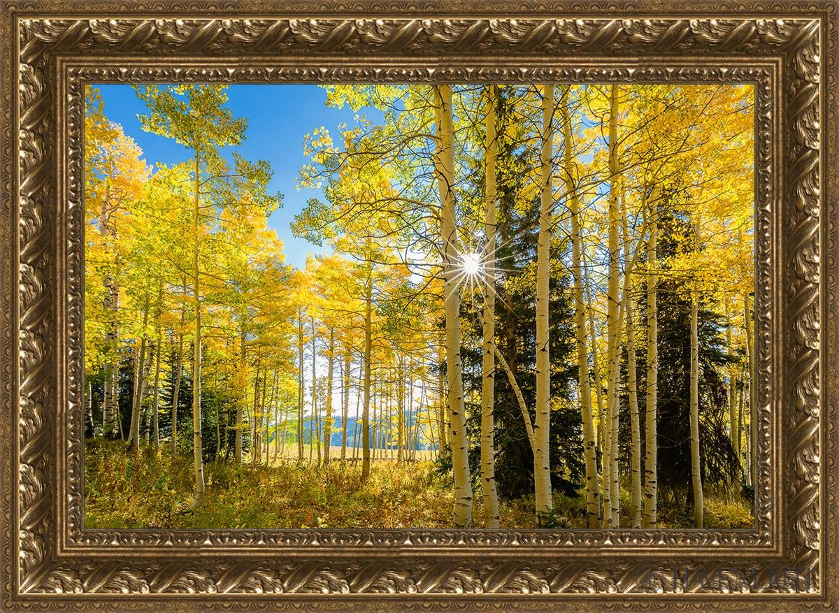 Autumn in the Rocky Mountains - Stunning Fall Foliage at Wasatch National Forest Utah | Perfect for Hiking, Photography & Nature Exploration