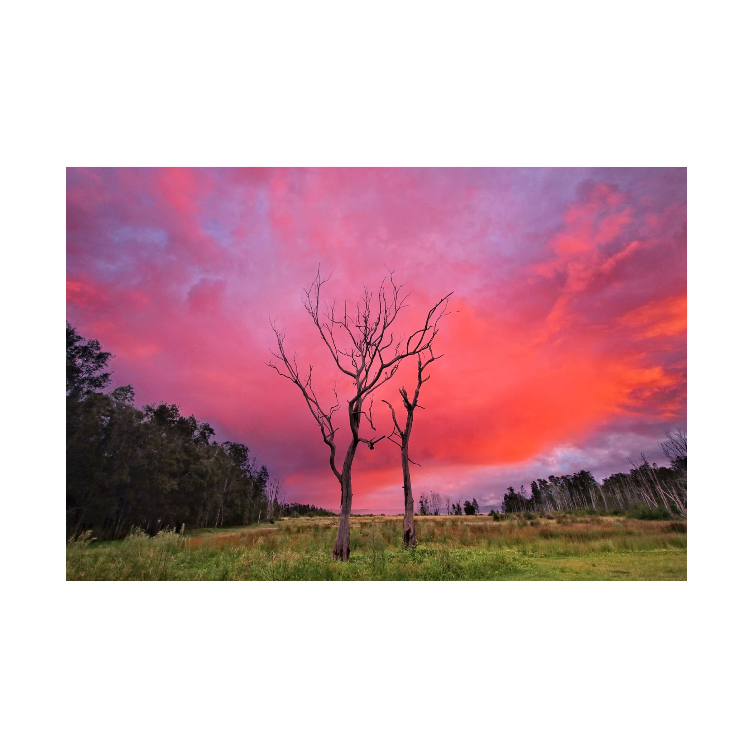 Trademark Fine Art 'Sunset Hug' Canvas Wall Art Print by Beata Czyzowska Young - Romantic Sunset Painting for Living Room, Bedroom & Office Decor