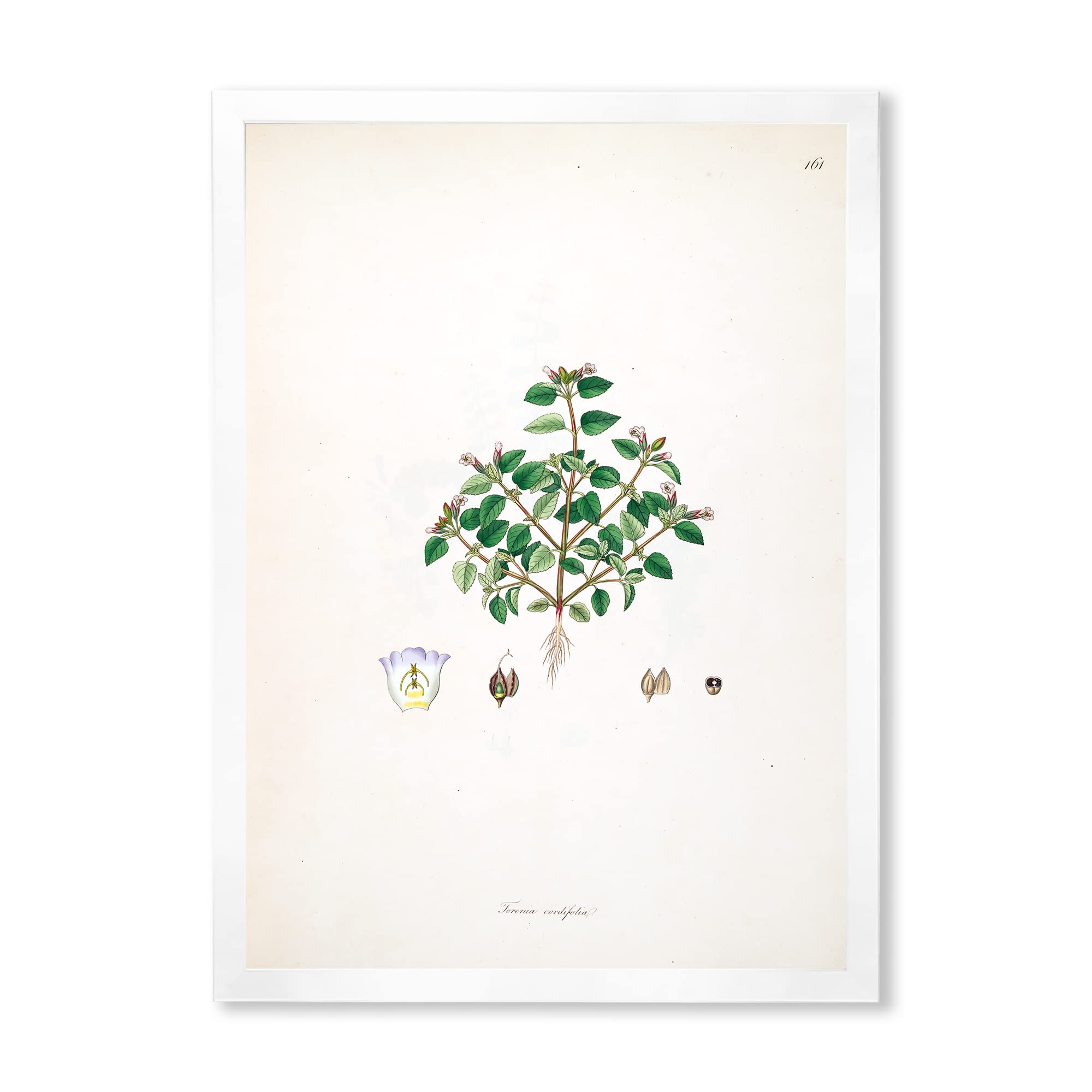 Vintage Farmhouse Wall Decor - Plant Life XIII Framed Art Print for Living Room, Bedroom & Kitchen Decor