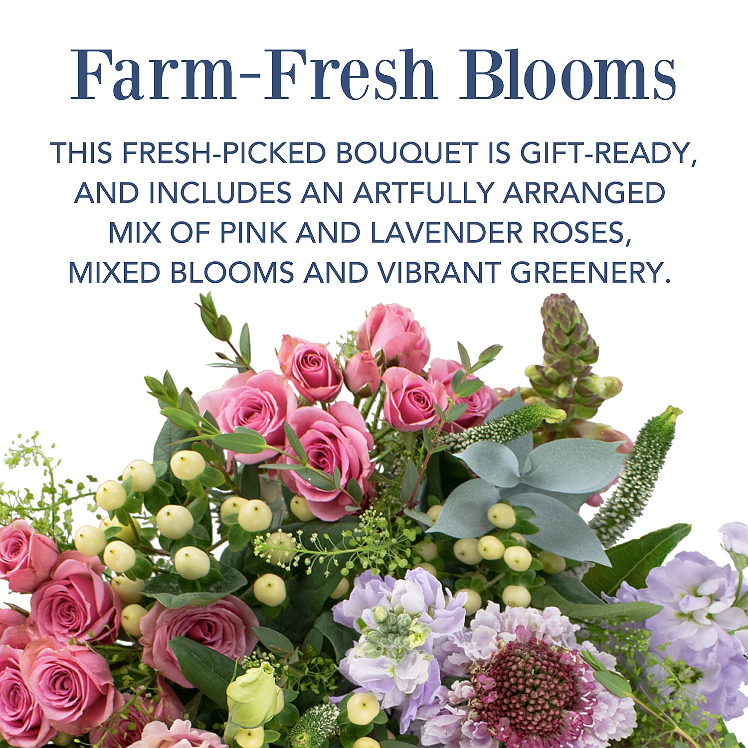 Premium Pink Rose and Lavender Mixed Fresh Flowers with Eucalyptus - Extra Large Bouquet for Home Decor, Wedding Centerpieces, and Special Occasions