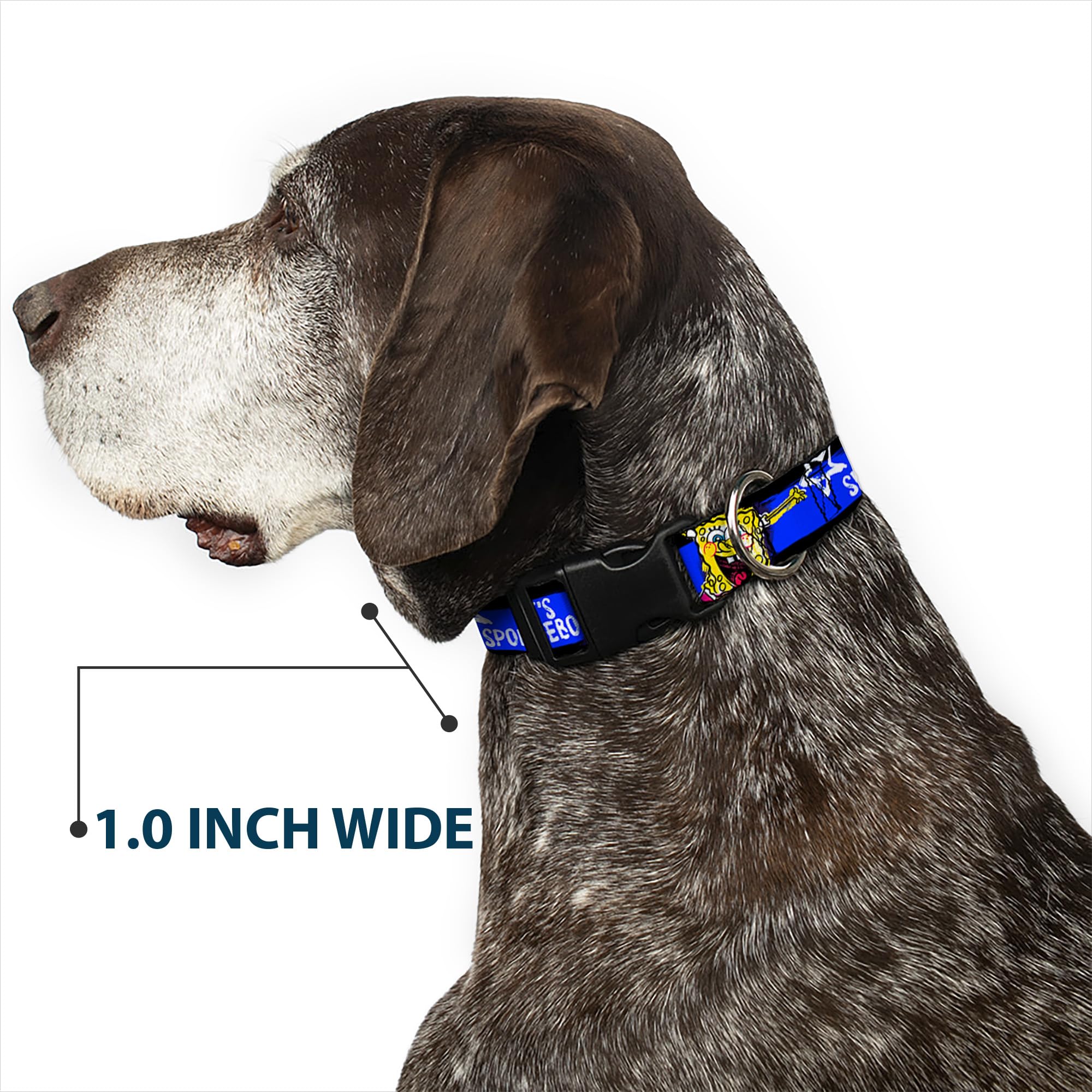 SpongeBob Dog Collar with Plastic Clip - Adjustable 9-15 Inches, 1.0 Inch Wide in Black, Blue & White Stripes - Perfect for Cartoon Lovers & Themed Pet Accessories