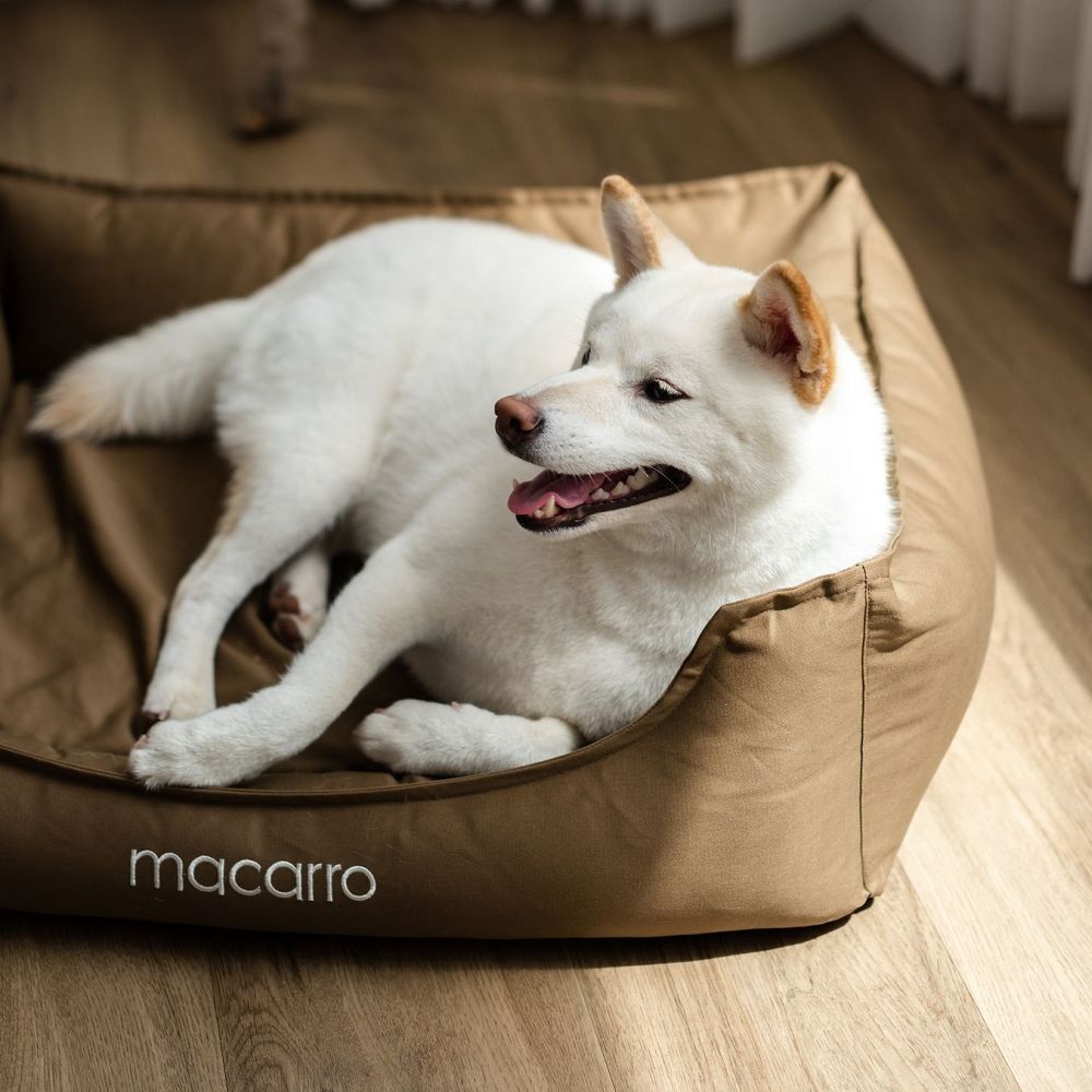 Premium Cotton Latex Pet Bed - Ultra Soft & Durable Dog Cat Bed for Small Medium Large Pets - Perfect for Indoor, Outdoor, Crate & Car Use
