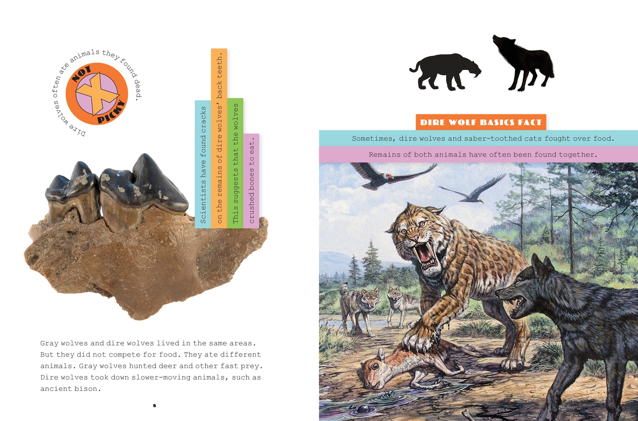 Dire Wolves Book 9781640264335 - Prehistoric Predators, Ice Age Wildlife - Perfect for Paleontology Enthusiasts & Nature Lovers