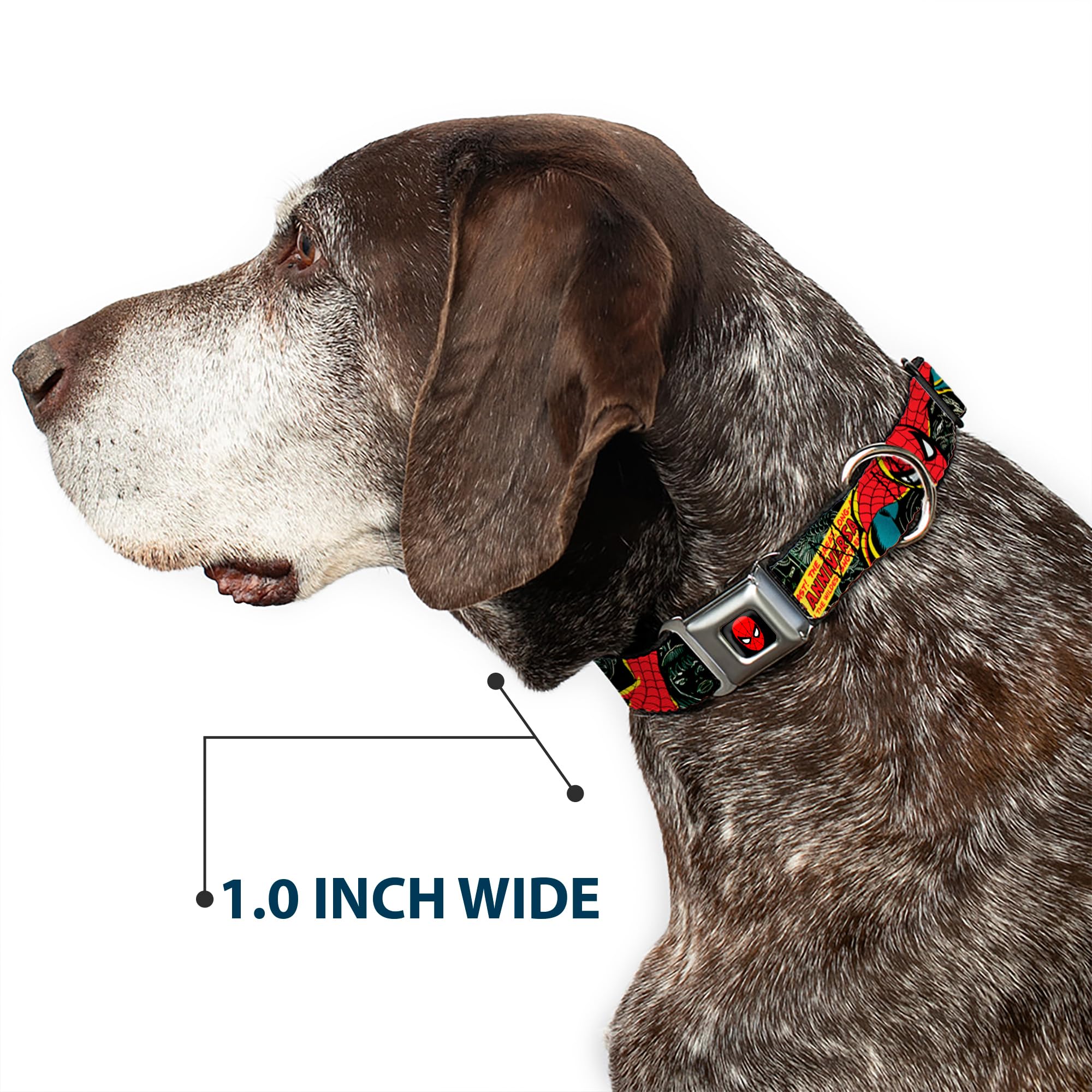 Buckle-Down Spider-Man 100th Anniversary Dog Collar - 1 Inch Wide Adjustable Pet Collar for Small Dogs (9-15