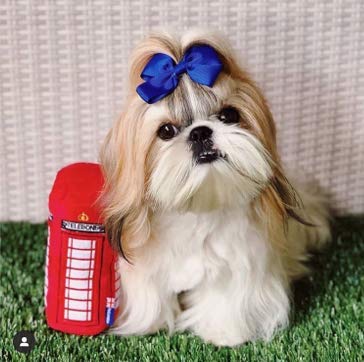 PetLondon British Red Telephone Box Plush Dog Toy with Squeaker - 6