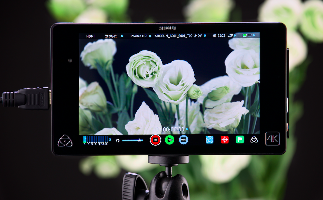 Atomos Shogun 4K HDMI/12G-SDI Recorder & Monitor for Professional Videography - Perfect for Film Production, Live Streaming, and Studio Recording
