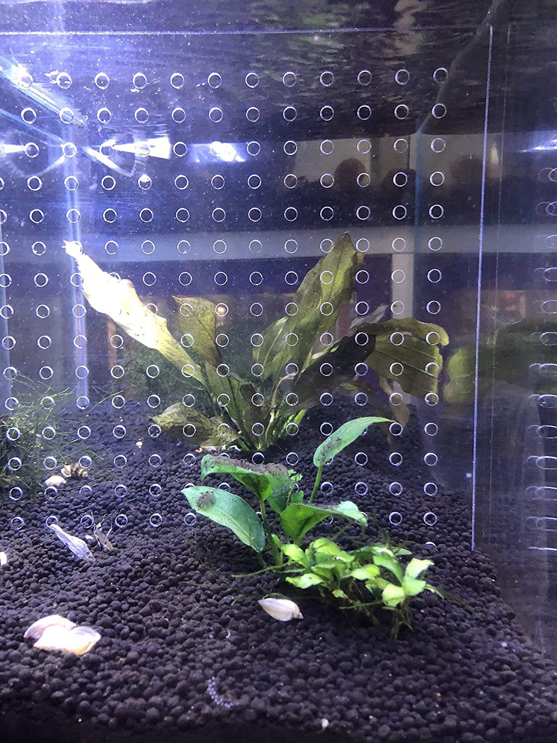 5.5 Gallon Acrylic Aquarium Divider with Suction Cups - 7.4