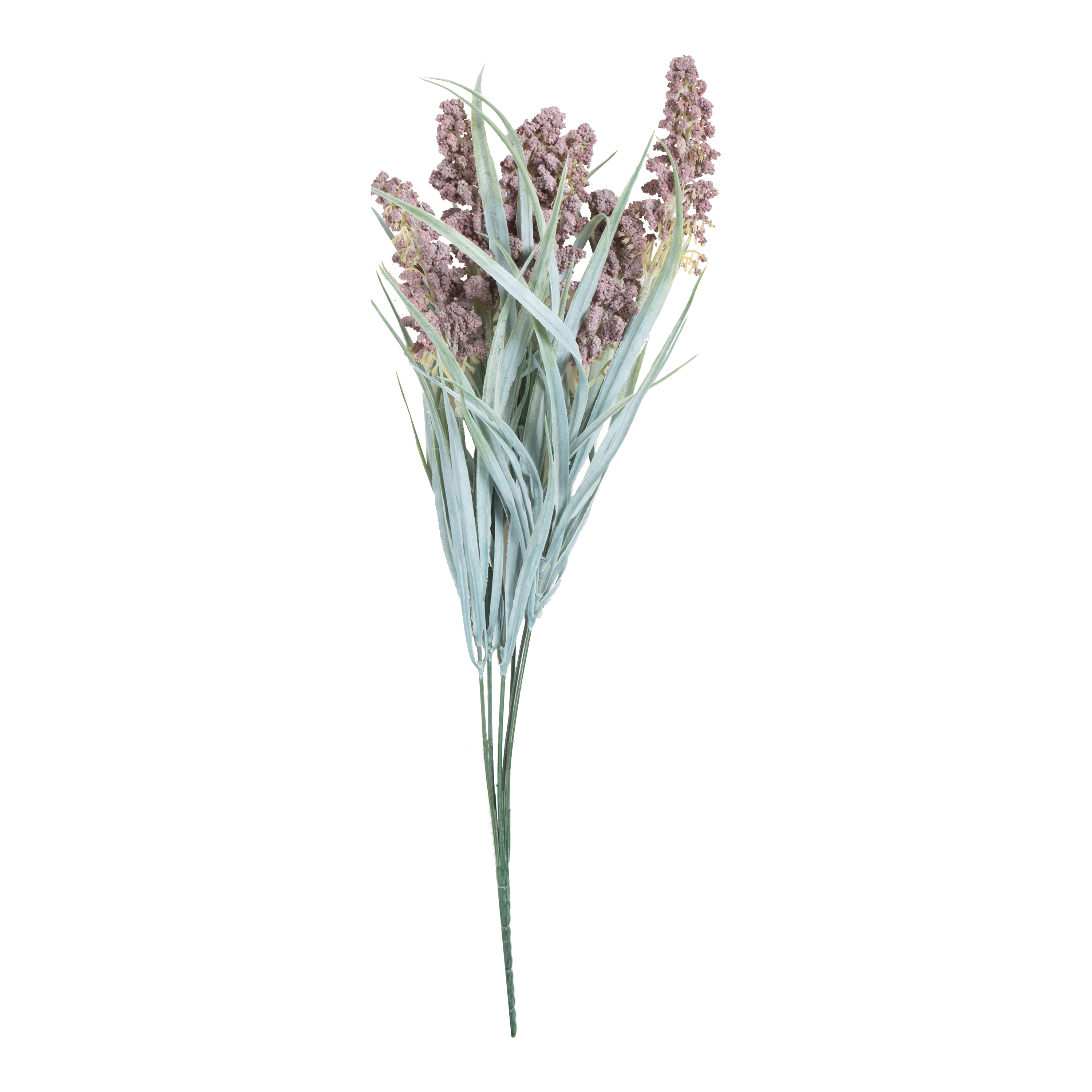 Lavender Bush Stem - Fresh Cut Aromatic Lavender Stems for Home Decor, DIY Crafts, and Relaxation | Perfect for Bouquets, Potpourri, and Aromatherapy