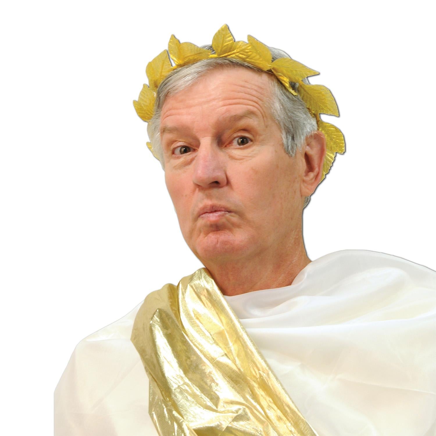 12 Pack Beistle Fabric Roman Laurel Wreath - Premium Headpiece for Costumes, Weddings & Photo Props - Perfect for Greek Goddess, Caesar, Historical Reenactments & Themed Parties