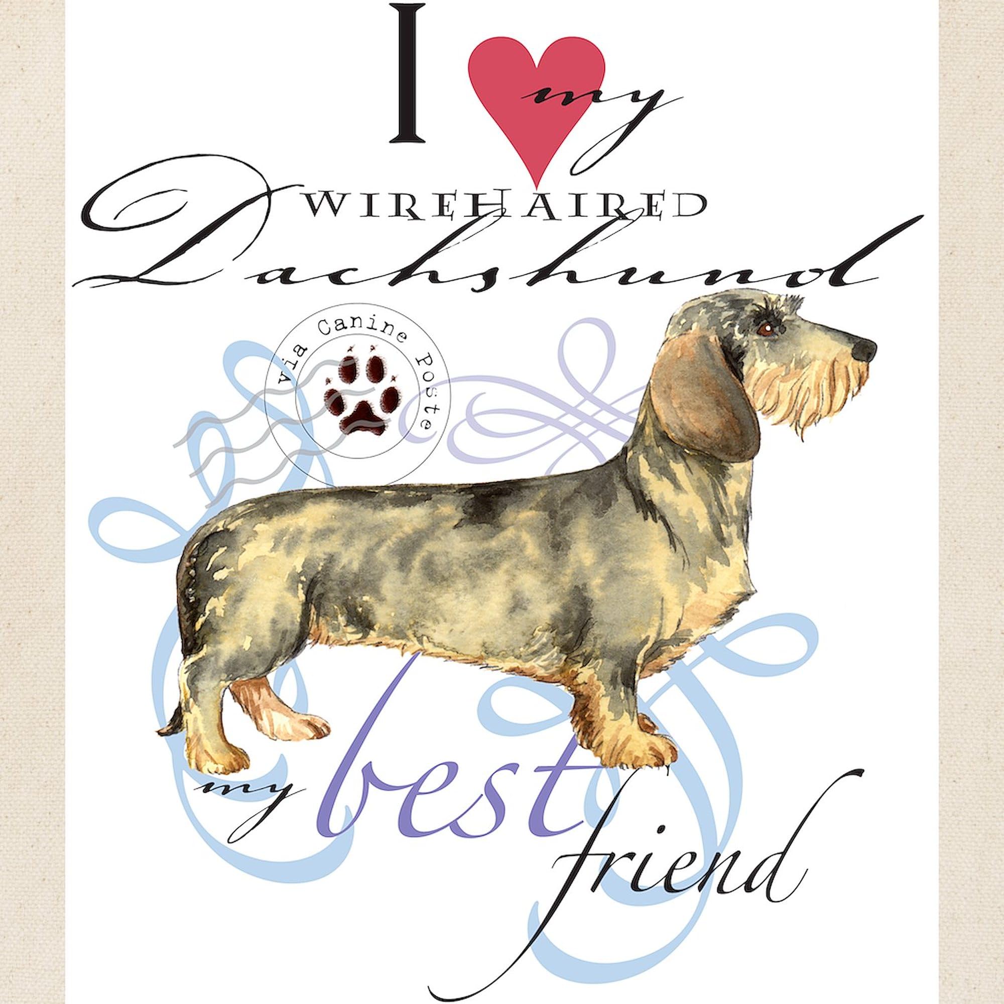 Wirehaired Dachshund Tote Bag - Natural Canvas Reusable Shopping Bag for Groceries, Beach & Daily Use | Cute Dog Lover Gift