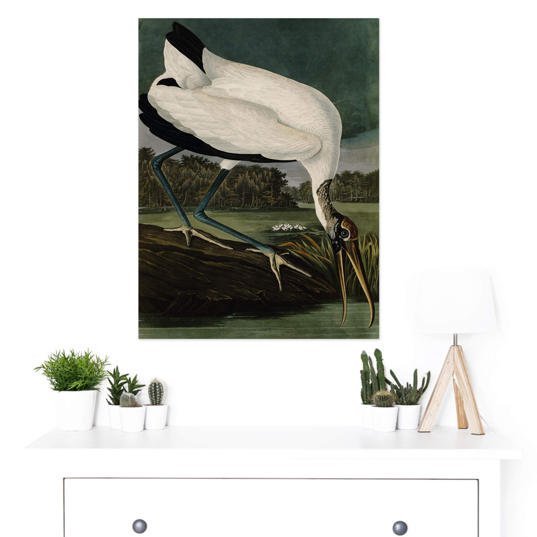 Artery8 Audubon Birds Wood Ibis Painting - Large 18x24 Inch Wall Art Poster Print on Thick Paper - Perfect for Living Room, Bedroom & Office Decor