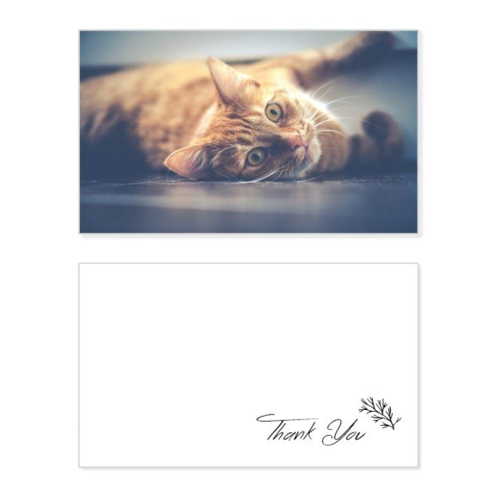 Yellow Cat Photo Thank You Card - Birthday, Wedding & Appreciation Greeting Cards for Cat Lovers | Perfect for Pet Celebrations & Special Occasions