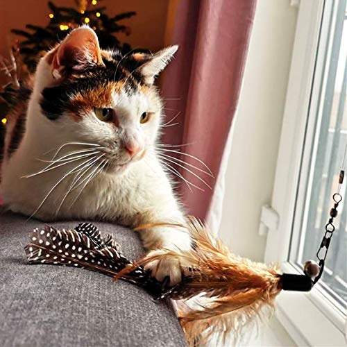 Interactive Retractable Feather & Bell Wand Toy for Cats - Fun Playtime Exercise for Indoor Kittens & Adult Felines