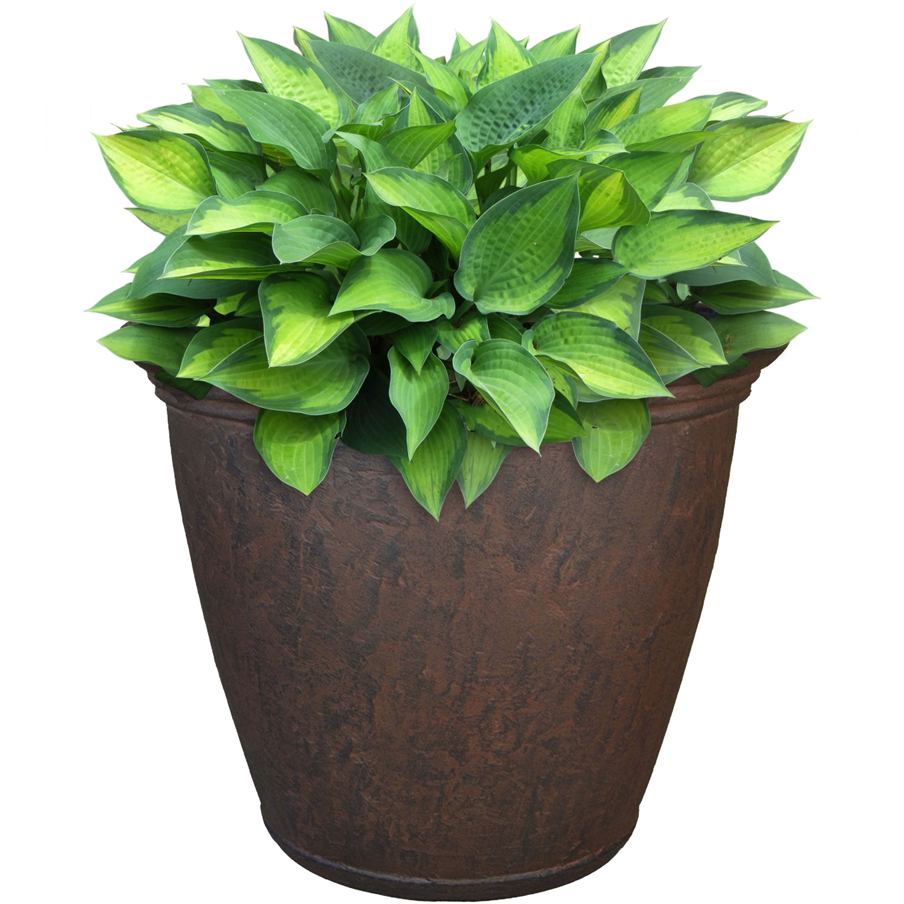 Sunnydaze Anjelica Outdoor Resin Planter - 15.25 Inch Diameter - Perfect for Garden, Patio, and Porch Decor