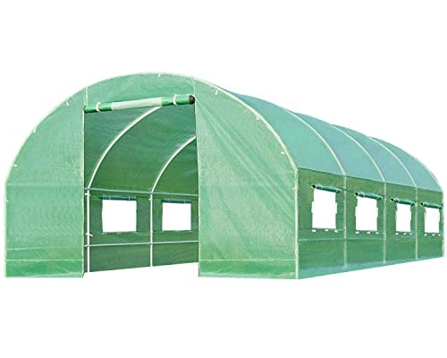 Walk-in Greenhouse Kit with Observation Windows - 20'x10'x7' Outdoor Plant Growing Tent for Vegetables, Flowers & Herbs | Perfect for Backyard Gardening, Patio Plant Protection & Year-Round Cultivation