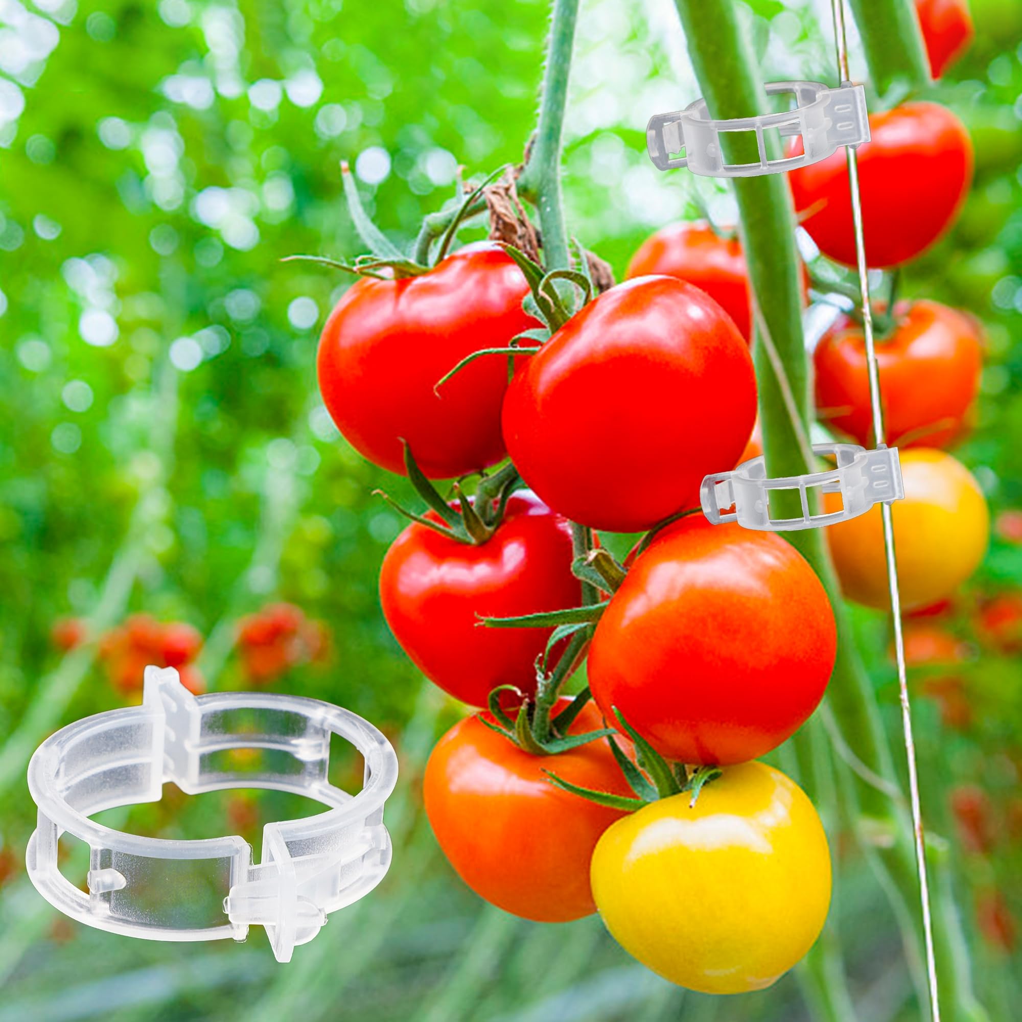 200 Pcs Clear Plastic Tomato Clips for String Trellis - Plant Support Clips for Climbing Plants, Tomato & Grape Vines - Ideal for Vertical Growth in Home Gardens & Greenhouses