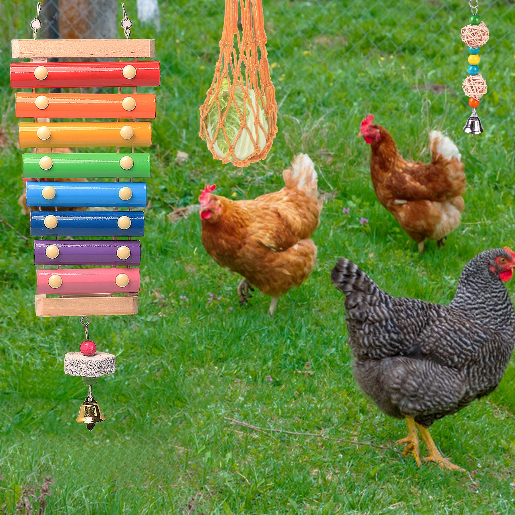 12PCS Chicken Toys for Coop - Enrichment Set with Xylophone, Swing, Mirror, Flexible Ladder, Veggie String Bag & Hanging Feeder | Fun Accessories for Hens to Reduce Boredom & Encourage Natural Behaviors | Perfect for Backyard Chicken Coops & Poultry Playtime