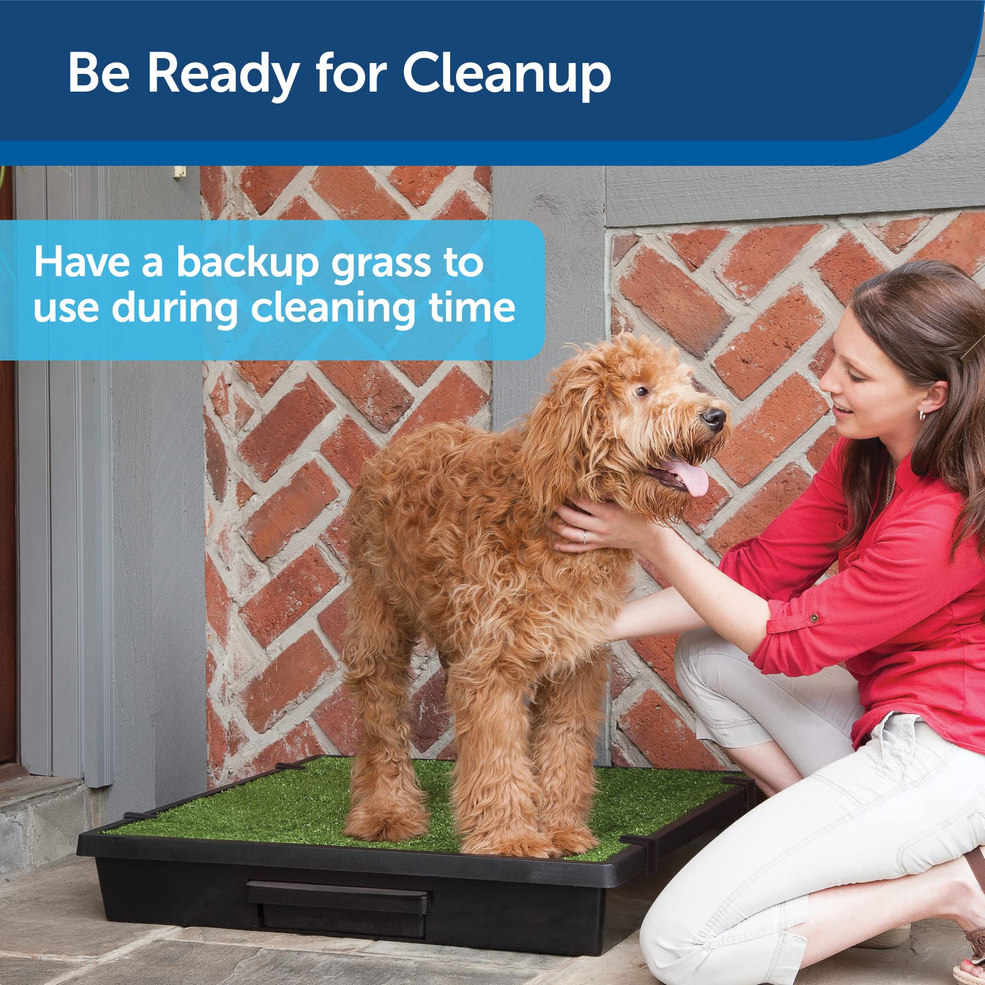 PetSafe Small Pet Loo Grass - Easy Clean Potty for Dogs & Cats