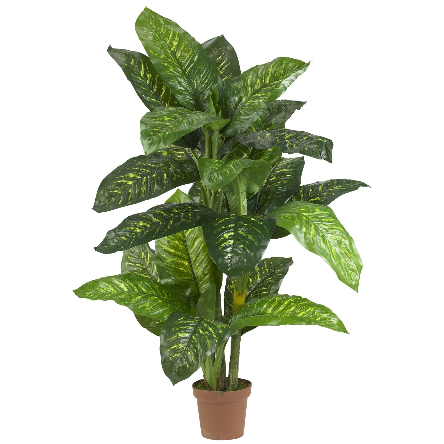 Nearly Natural 6573 5-Ft Real Touch Dieffenbachia Silk Plant - Lifelike Green Artificial Tree for Home, Office & Indoor Decor - Perfect for Living Room, Bedroom or Office Space