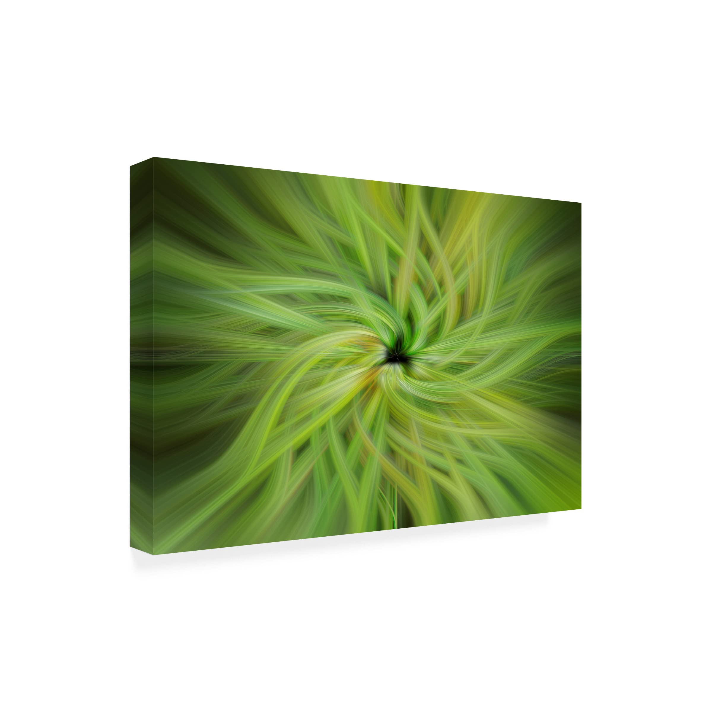 Trademark Fine Art 'Garden Twirl' Canvas Wall Art by Lori Hutchison - Floral Home Decor for Living Room, Bedroom & Office