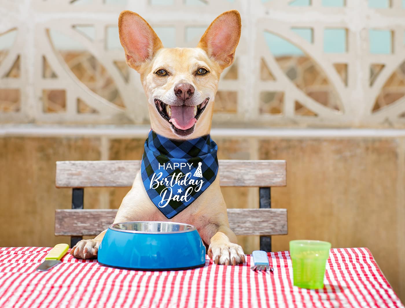 YHTWIN Funny Cute Cotton Blue Plaid Happy Birthday Dad Dog Bandana - Pet Birthday Party Decorations, Triangle Bib for Dog Lovers - Perfect Gift for Dog Birthday Celebrations & Photo Props