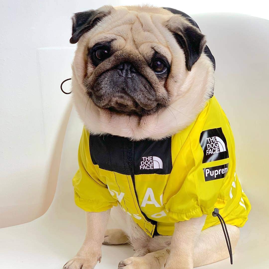 **Waterproof & Windproof Dog Raincoat with Hood - Lightweight Dog Jacket for Small, Medium, Large & XL Dogs (5X-Large, Yellow) - Perfect for Rainy Walks & Outdoor Adventures**