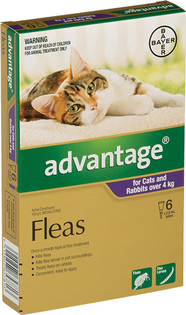 Advantage Cats & Rabbits Flea Treatment - Large 4-10kg (6 Pack) | Effective Flea Control for Medium to Large Cats & Rabbits | Home & Pet Protection