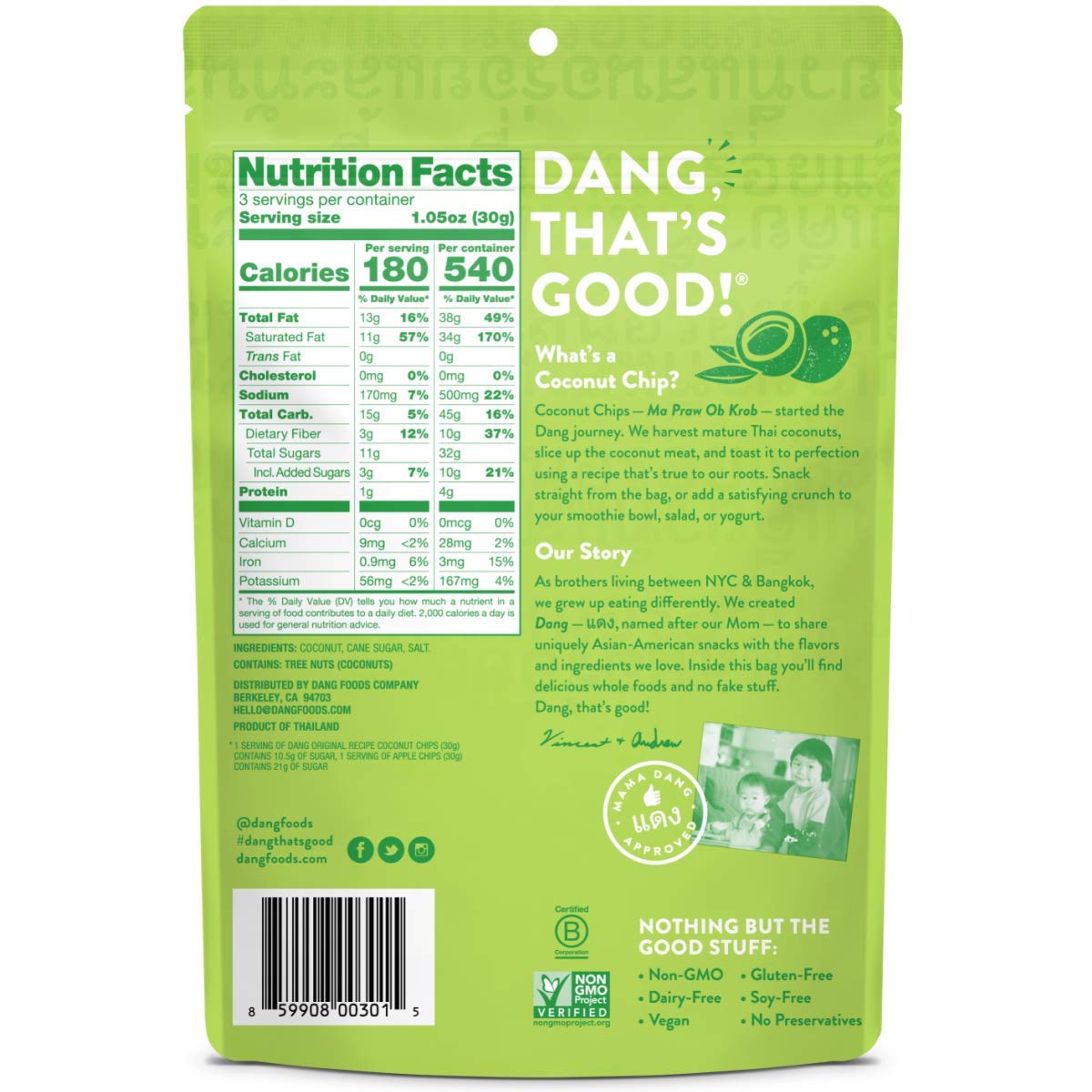 Dang Toasted Coconut Chips - Vegan, Gluten Free, Non GMO Healthy Snack - Whole Food Ingredients - Original Flavor - 3.17oz (Pack of 6) | Perfect for On-the-Go, Yoga, Hiking & Healthy Lifestyle