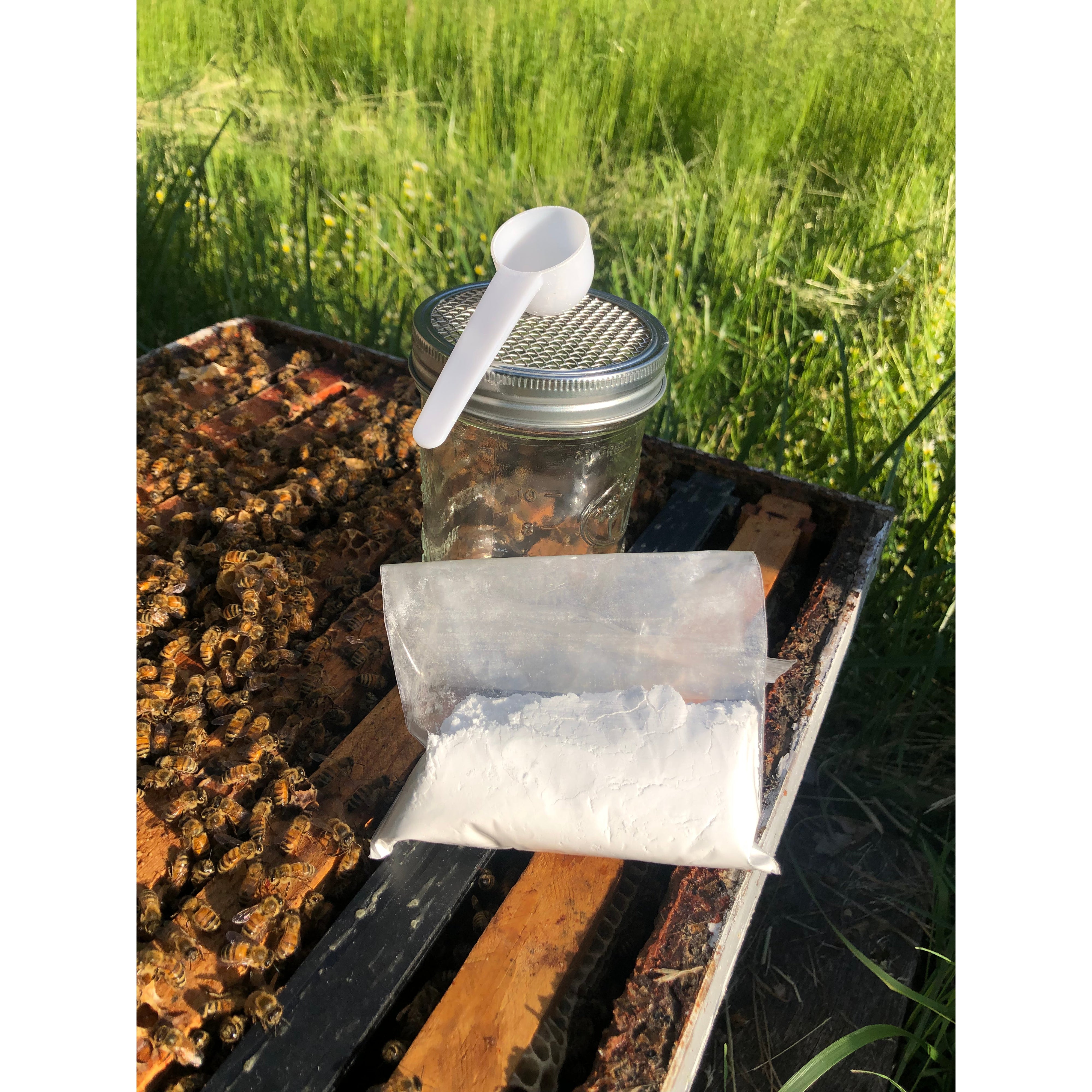 Accurate Sugar Roll Mite Testing Kit for Beekeepers - Monitor Hive Health & Detect Varroa Mite Infestations | Beekeeping Supplies & Equipment