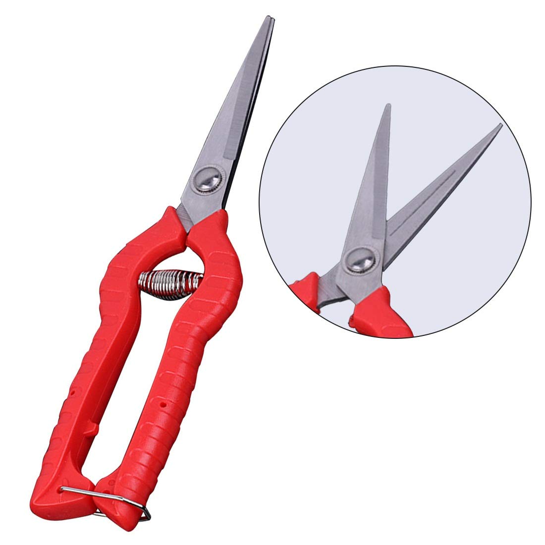 ZEFS ESD Garden Pruning Shears - Professional Hand Pruner, Plant Scissors, Bonsai & Grafting Tool for Gardening, Grass & Flower Cutting - Perfect for Home Garden, Landscaping & Outdoor Use