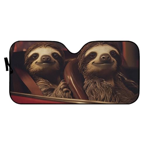 Sloth Funny