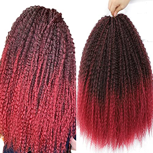Afro Kinky Curly Crochet Hair 3 Packs - Soft Ombre Burgundy Synthetic Braiding Hair Extensions - 20 Inch Deep Water Wave Crochet Braids for Black Women - Perfect for Beach Waves, Protective Styles & Everyday Glam