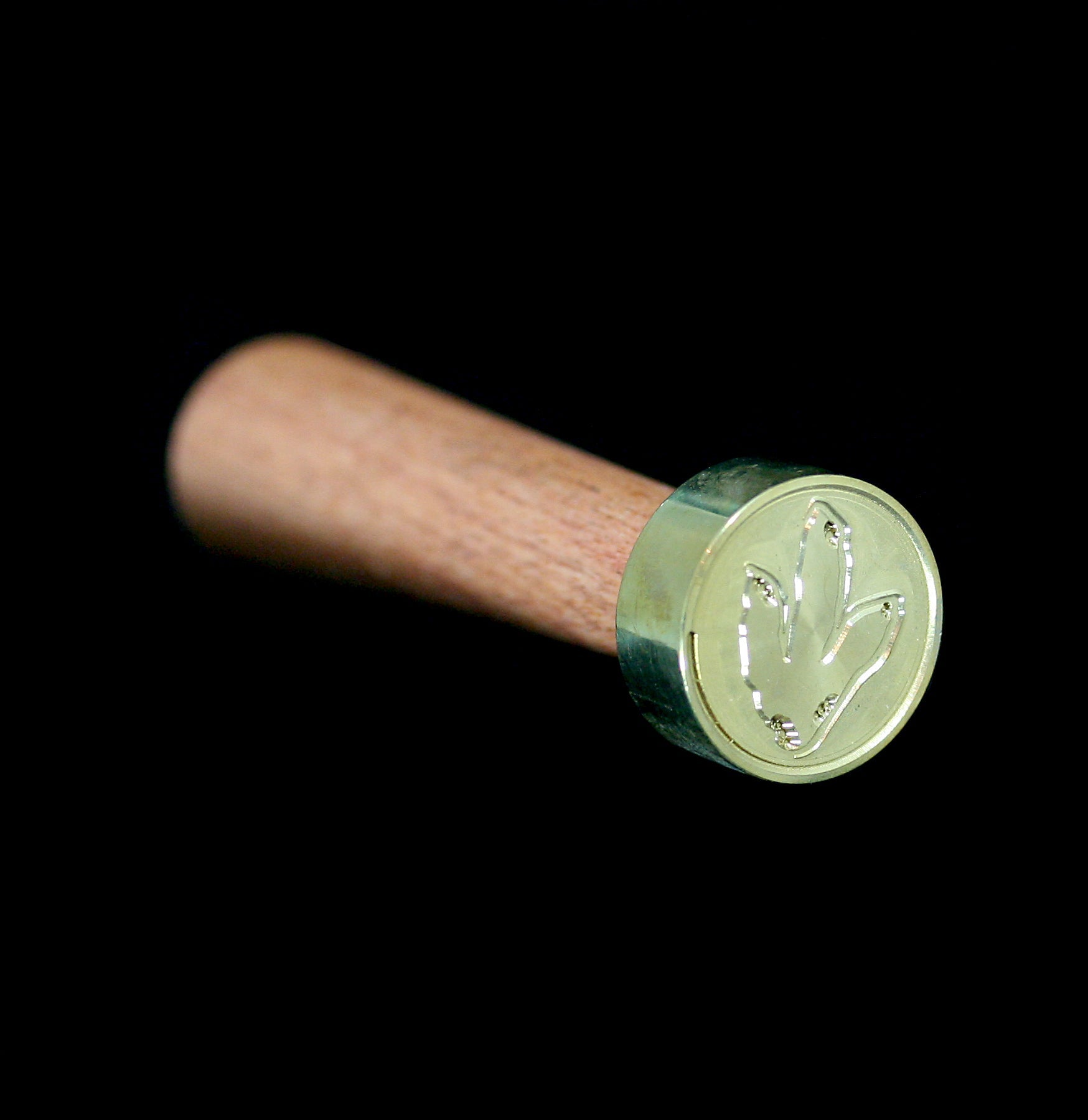 Dinosaur Wax Seal Stamp - T-Rex Footprint Design for DIY Invitations, Wedding Stationery & Vintage Letters | Perfect for Scrapbooking, Envelopes & Gift Wrapping