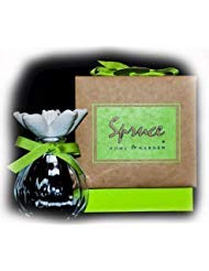 Spruce Aromatherapy Essential Oil Diffuser - Ceramic Cucumber Design for Home, Office & Spa Relaxation