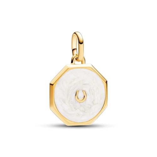 Lucky Horseshoe Medallion Charm