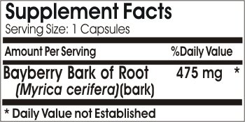 PureControl Supplements Bayberry Bark Root Extract 475mg - 100 Capsules | Natural Herbal Supplement for Immune Support & Digestive Health