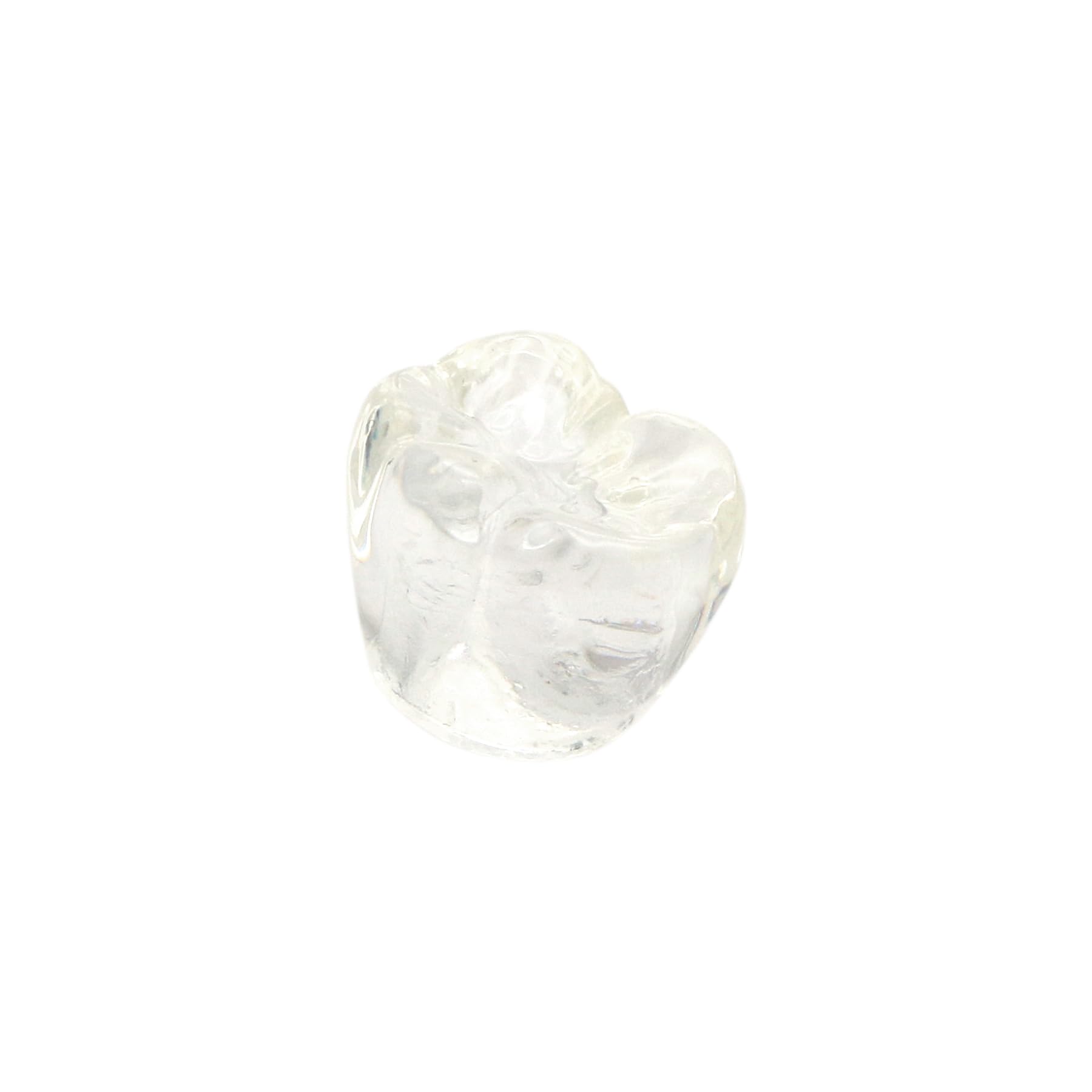 1 Pc Clear Dental Implant Model #2020-01 - Professional Teeth Study & Teaching Demonstration Tool for Dentists, Students & Dental Clinics | Perfect for Classroom Training, Patient Education & Implant Procedure Practice