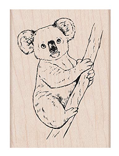 Koala on Branch