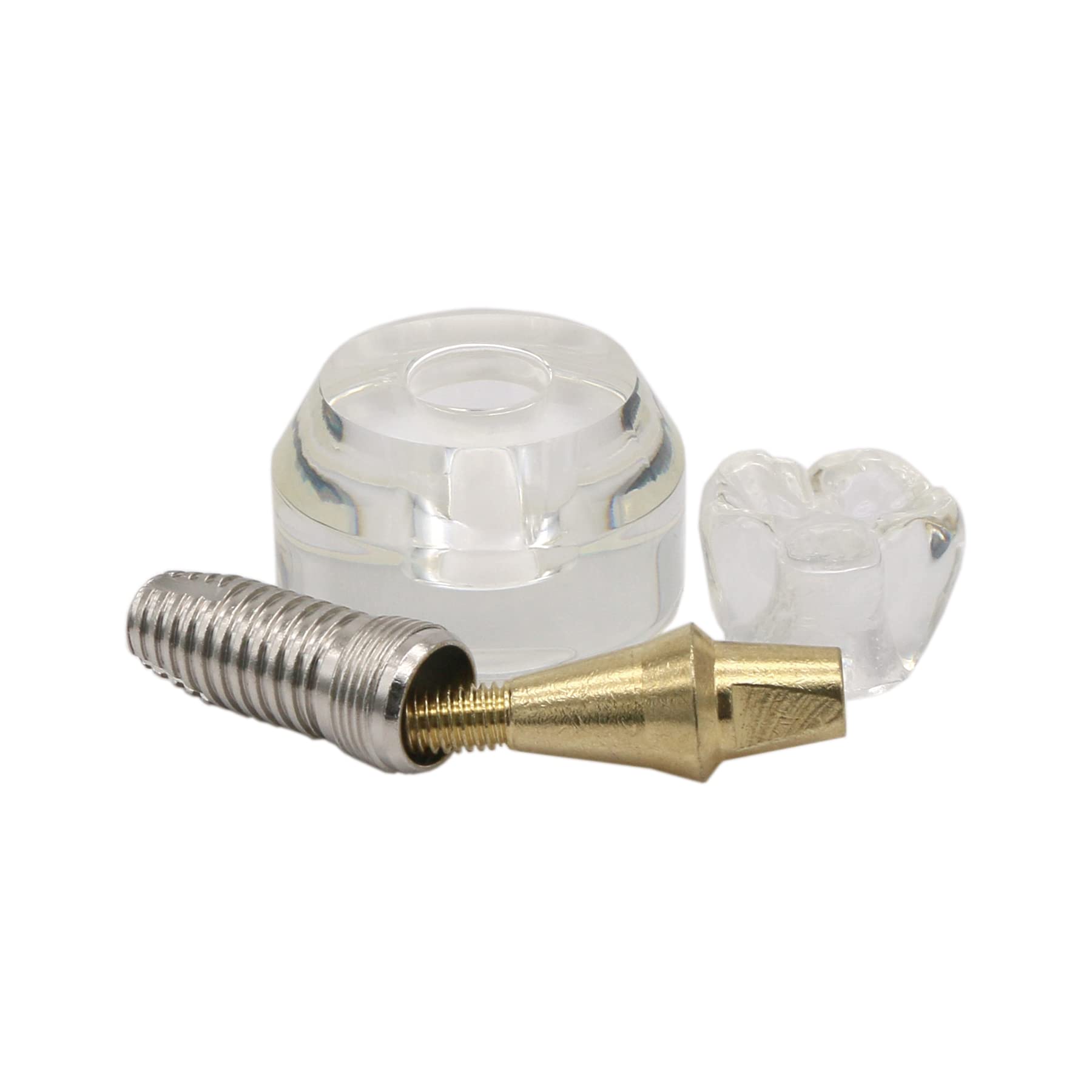 1 Pc Clear Dental Implant Model #2020-01 - Professional Teeth Study & Teaching Demonstration Tool for Dentists, Students & Dental Clinics | Perfect for Classroom Training, Patient Education & Implant Procedure Practice