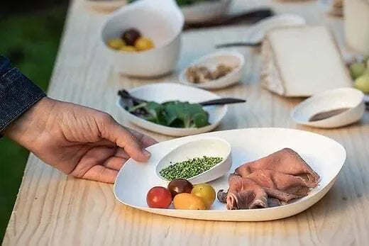 Yayoi Eco-Friendly Sugarcane Fiber Dinner Plate Set - Biodegradable & Durable for Everyday Meals, Parties, and Picnics