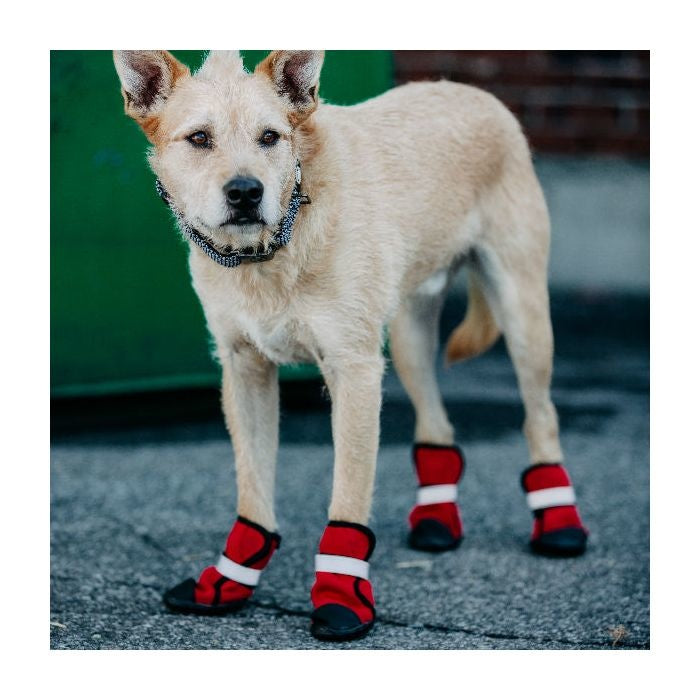 Silver Paw Easy Fit All Terrain Neoprene Dog Boots - Waterproof & Slip Resistant Paw Protectors for Hiking, Snow & Hot Pavement (Red, 4 Pack)