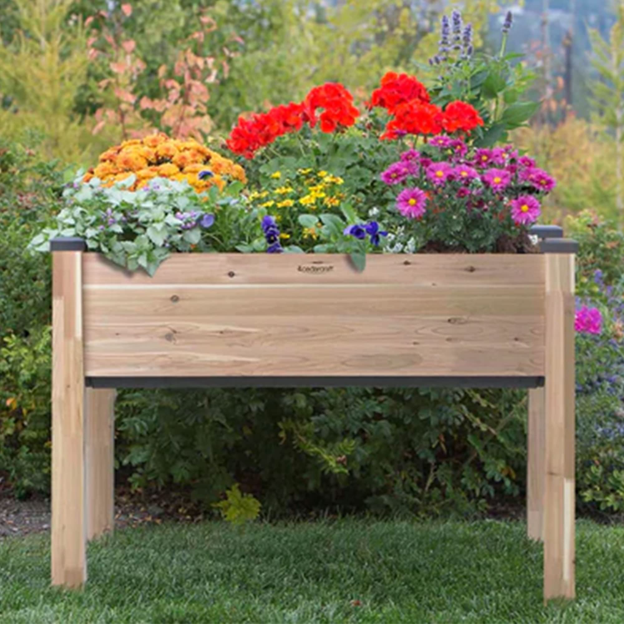 **Self-Watering Elevated Cedar Planter Box with Greenhouse Cover - 22” x 48” x 30” Raised Garden Bed for Vegetables, Herbs & Flowers | Durable Cedar Wood, Container Gardening & Patio Decor**    *(Perfect for Balcony, Deck, Backyard & Urban Gardening - Grow Fresh Produce Easily!)*