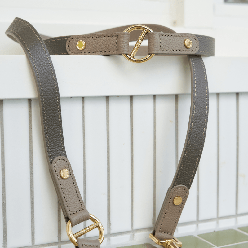 Hands-Free Dog Leash for Walking & Running - Adjustable Waist Belt with Reflective Stitching - Perfect for Jogging, Hiking & Outdoor Activities