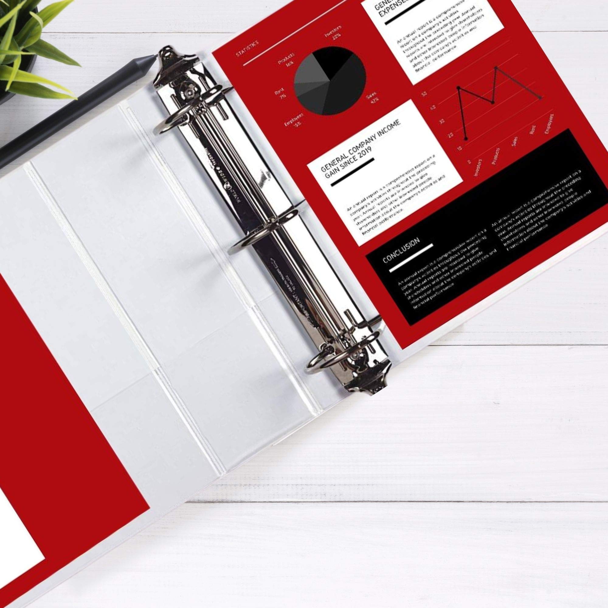 Professional 3 Ring Binder 5 Inch D-Ring - Clear View White Presentation Folder with Pockets for 8.5 x 11 Pages - Perfect for Office, School & Document Organization
