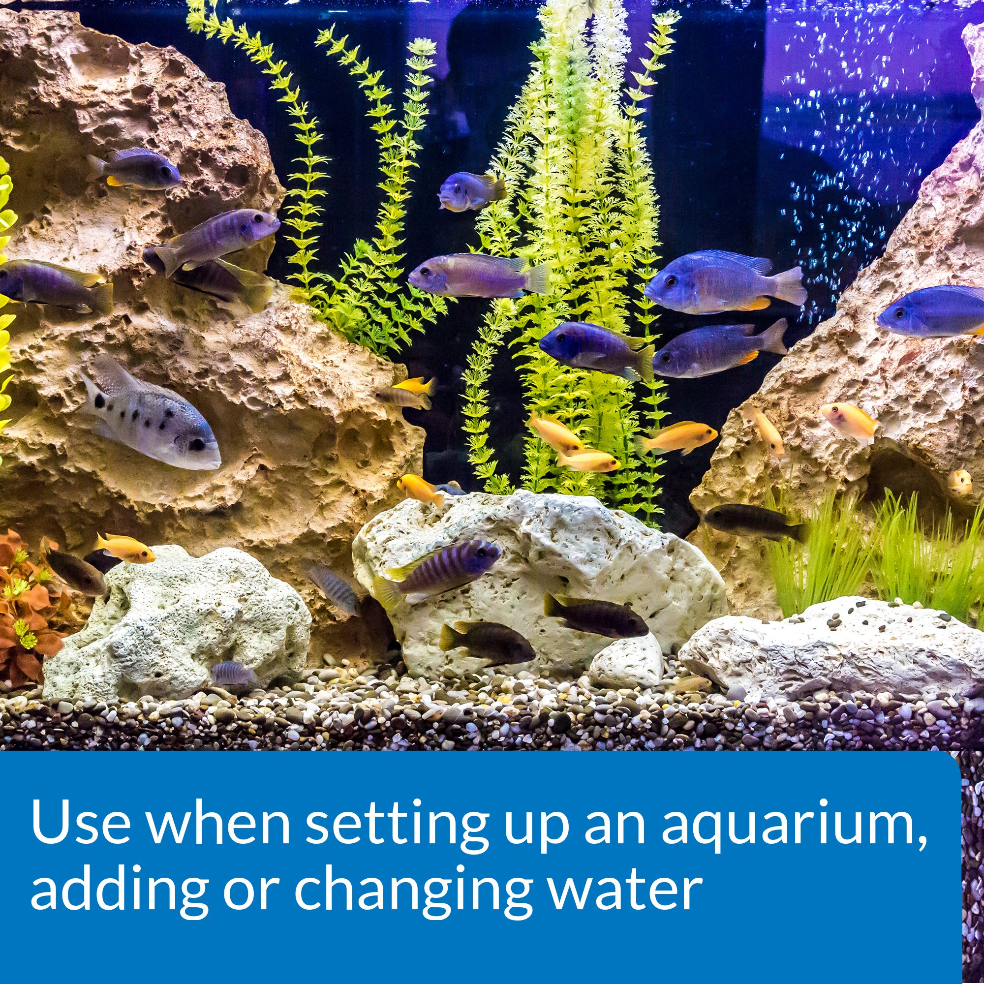 API TAP WATER CONDITIONER for Aquariums - 64 oz Fish Tank Water Dechlorinator & Detoxifier | Removes Chlorine, Chloramines & Heavy Metals | Safe for Freshwater & Saltwater Fish | Perfect for Water Changes & New Tank Setups