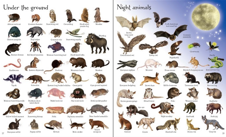 1000 Animals Hardcover Book by Usborne - Educational Wildlife Encyclopedia for Kids, Perfect for Homeschooling & Classroom Learning