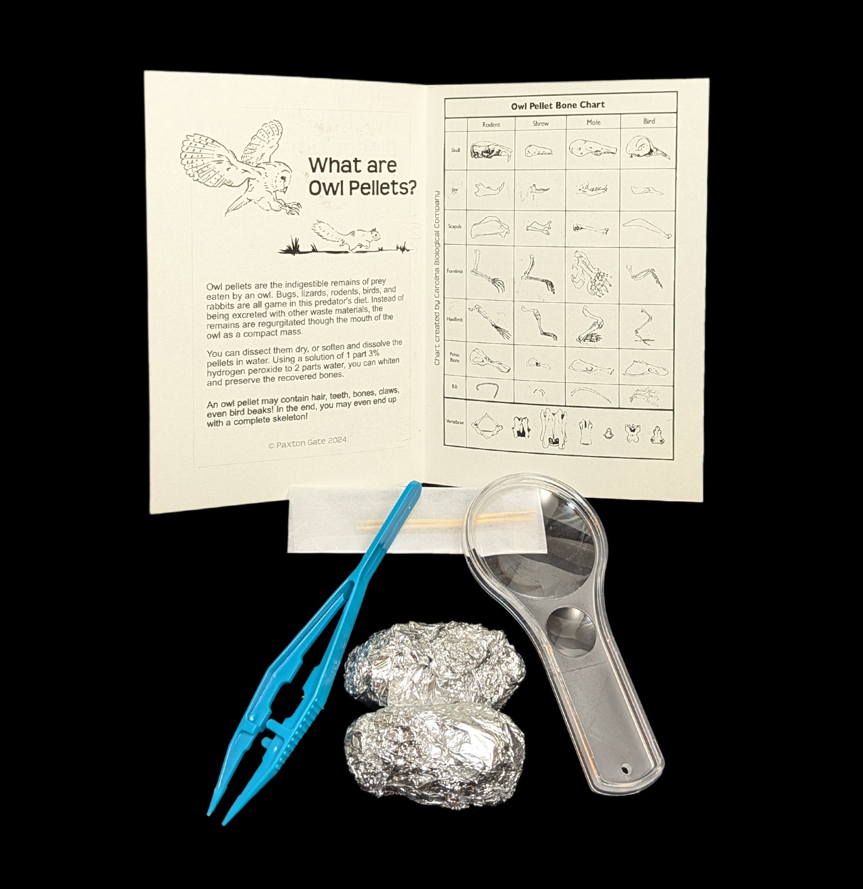 Owl Pellet Dissection Kit for Science Classrooms - Hands-on Biology Learning Tool for Students & Teachers | Perfect for STEM Education, Homeschooling & Nature Study Activities