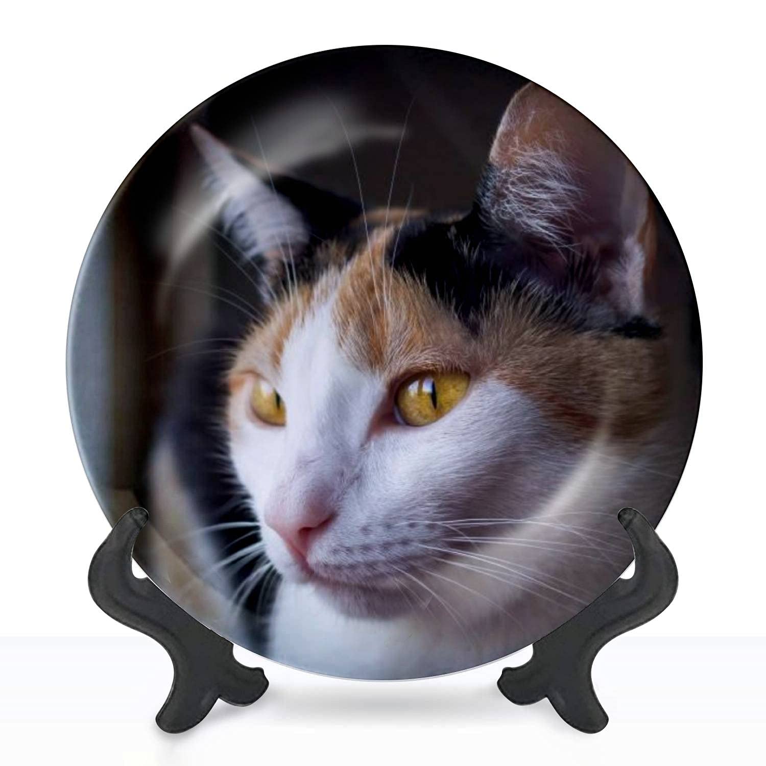 Hand-Painted Ceramic Hanging Wall Plate - Sunbathing Cat Decorative Art for Home & Office Decor - 8 Inch Collectible Plate for Dining Room, Parties, Wedding Gifts - Perfect for Boho, Farmhouse & Vintage Style Interiors